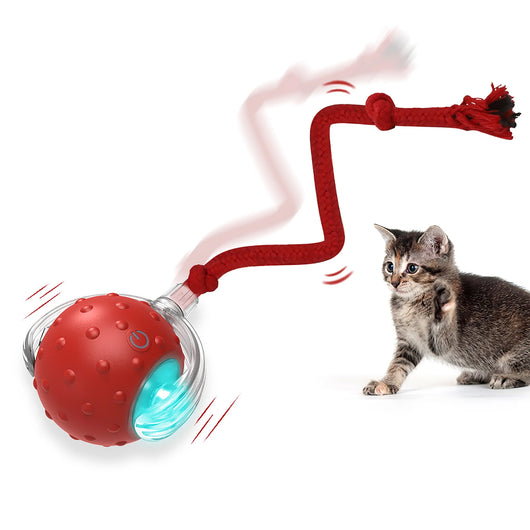 Interactive Cat Toy Ball - Automatic Interactive Cat Toys for Indoor Cats with 3 Tails, 2 Speeds Rechargeable Cat Enrichment Toys for Small/Medium/Large Cats to Keep Them Busy(