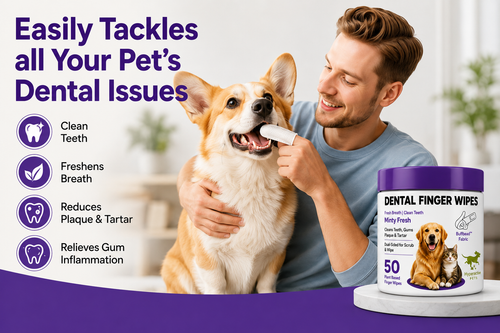 Pet Dog Cat Dental Finger Wipes | 50 Pack | Scented Tooth Cleaning | Remove Plaque & Freshens Breathe
