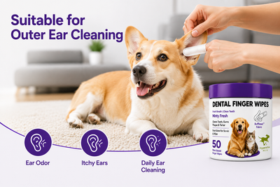 Pet Dog Cat Dental Finger Wipes | 50 Pack | Scented Tooth Cleaning | Remove Plaque & Freshens Breathe
