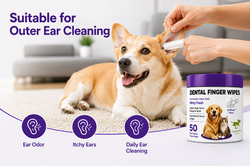 Pet Dog Cat Dental Finger Wipes | 50 Pack | Scented Tooth Cleaning | Remove Plaque & Freshens Breathe