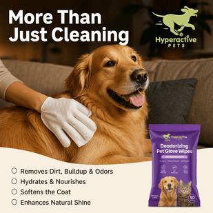 🐾 Your Pet's Spa Day — In the Palm of Your Hand