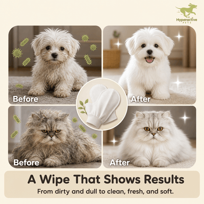 PET Cleaning Deodorizing Glove Wipes for Dogs & Cats, Vet Recommended Hypoallergenic Hydrating & Nourish Fur Pet Grooming Glo