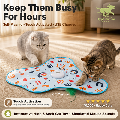 Hide and Seek Interactive Cat Toys, Moving Concealed Wand Feather, Automatic Chargeable Indoor Kitten Exercise Kicker