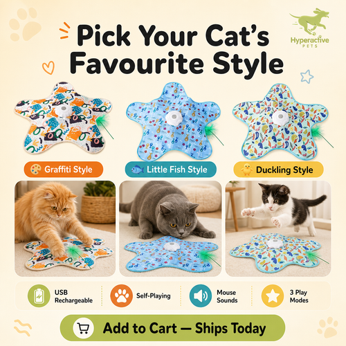 Hide and Seek Interactive Cat Toys, Moving Concealed Wand Feather, Automatic Chargeable Indoor Kitten Exercise Kicker