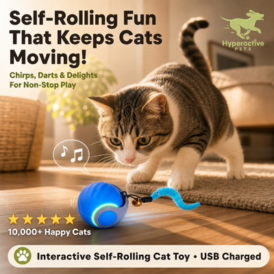 Interactive Cat Toy Ball - Automatic Interactive Cat Toys for Indoor Cats with 3 Tails, 2 Speeds Rechargeable Cat Enrichment Toys for Small/Medium/Large Cats to Keep Them Busy(
