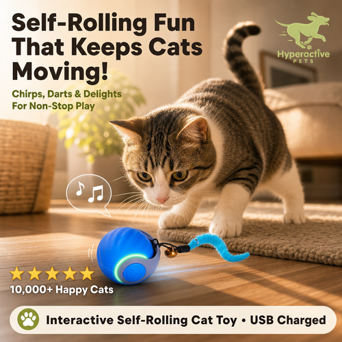 Interactive Cat Toy Ball - Automatic Interactive Cat Toys for Indoor Cats with 3 Tails, 2 Speeds Rechargeable Cat Enrichment Toys for Small/Medium/Large Cats to Keep Them Busy(