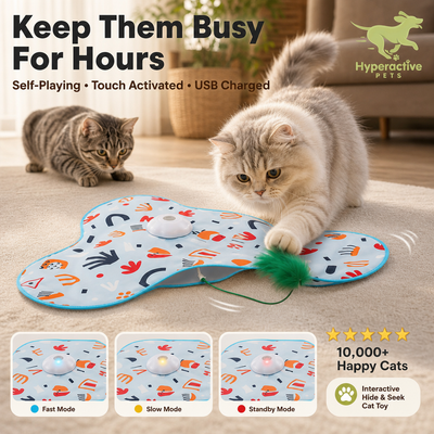 Hide and Seek Interactive Cat Toys, Moving Concealed Wand Feather, Automatic Chargeable Indoor Kitten Exercise Kicker