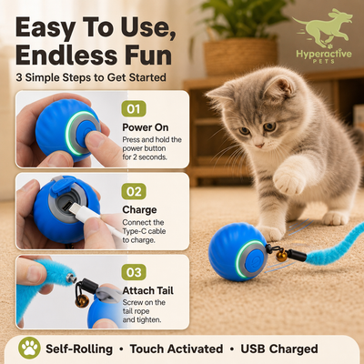 Interactive Cat Toy Ball - Automatic Interactive Cat Toys for Indoor Cats with 3 Tails, 2 Speeds Rechargeable Cat Enrichment Toys for Small/Medium/Large Cats to Keep Them Busy(