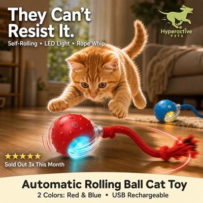 Interactive Cat Toy Ball - Automatic Interactive Cat Toys for Indoor Cats with 3 Tails, 2 Speeds Rechargeable Cat Enrichment Toys for Small/Medium/Large Cats to Keep Them Busy(