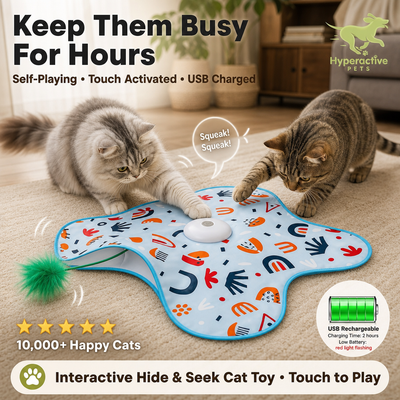 Hide and Seek Interactive Cat Toys, Moving Concealed Wand Feather, Automatic Chargeable Indoor Kitten Exercise Kicker