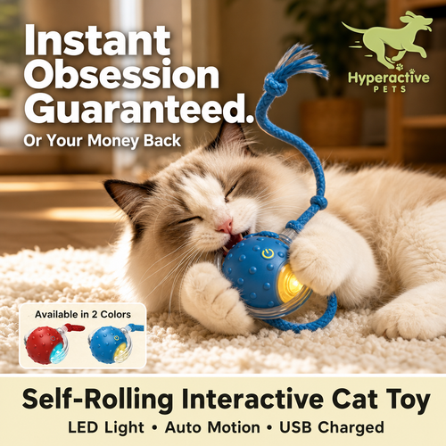 Interactive Cat Toy Ball - Automatic Interactive Cat Toys for Indoor Cats with 3 Tails, 2 Speeds Rechargeable Cat Enrichment Toys for Small/Medium/Large Cats to Keep Them Busy(