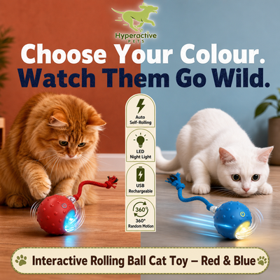 Interactive Cat Toy Ball - Automatic Interactive Cat Toys for Indoor Cats with 3 Tails, 2 Speeds Rechargeable Cat Enrichment Toys for Small/Medium/Large Cats to Keep Them Busy(