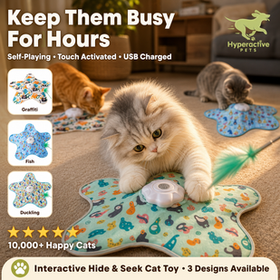 Keep Your Cats Natural Instincts
