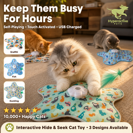 Hide and Seek Interactive Cat Toys, Moving Concealed Wand Feather, Automatic Chargeable Indoor Kitten Exercise Kicker