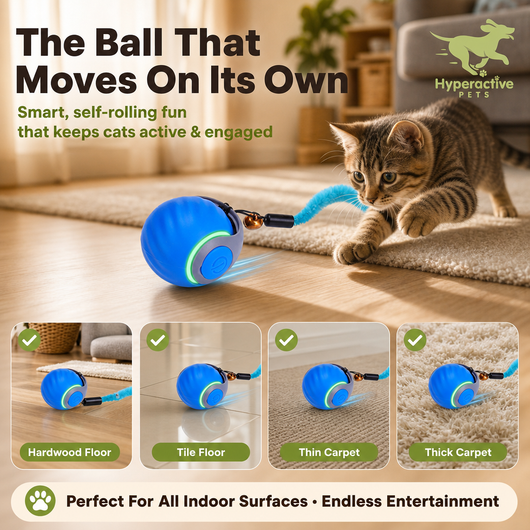 Interactive Cat Toy Ball - Automatic Interactive Cat Toys for Indoor Cats with 3 Tails, 2 Speeds Rechargeable Cat Enrichment Toys for Small/Medium/Large Cats to Keep Them Busy(