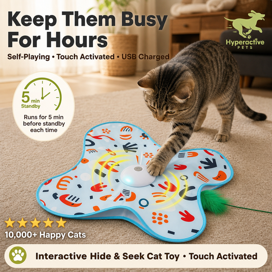 Hide and Seek Interactive Cat Toys, Moving Concealed Wand Feather, Automatic Chargeable Indoor Kitten Exercise Kicker