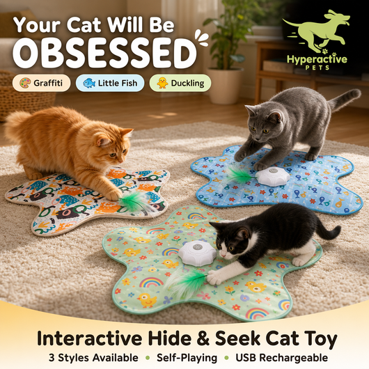 Hide and Seek Interactive Cat Toys, Moving Concealed Wand Feather, Automatic Chargeable Indoor Kitten Exercise Kicker