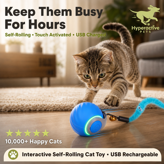 Interactive Cat Toy Ball - Automatic Interactive Cat Toys for Indoor Cats with 3 Tails, 2 Speeds Rechargeable Cat Enrichment Toys for Small/Medium/Large Cats to Keep Them Busy(